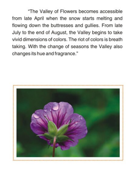 The Bhyundar Valley (The Valley of Flowers National Park)