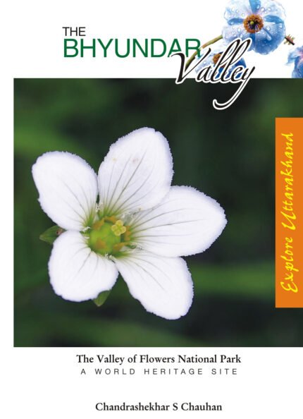 The Bhyundar Valley (The Valley of Flowers National Park)