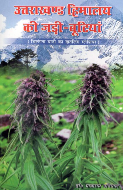 Uttarakhand Himalaya ki Jadi Bootiyan